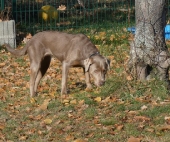 Pension_40