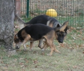 Pension_67
