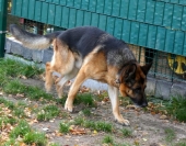 Pension_68