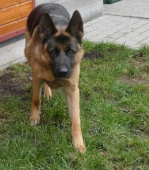 Pension_6