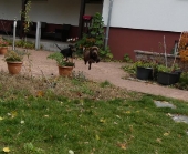 Pension_72