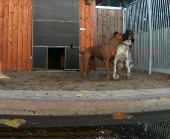 Pension_10
