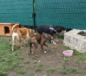 Pension_12