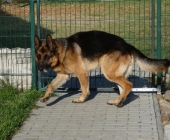 Pension_13