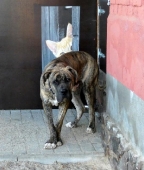 Pension_1