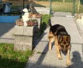 Pension_1