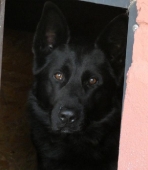 Pension_20