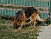 Pension_21