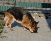 Pension_22