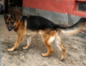 Pension_22