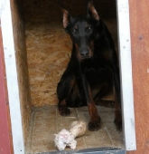 Pension_24