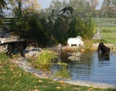 Pension_28