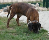Pension_2