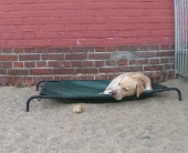 Pension_2