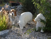 Pension_33