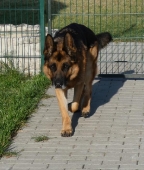 Pension_35