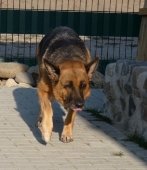 Pension_36