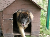Pension_46
