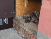 Pension_69