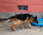 Pension_7