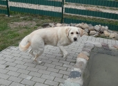 Pension_9