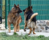 Pension_11