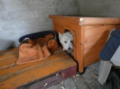 Pension_120