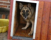 Pension_121