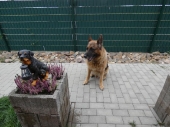 Pension_123