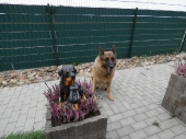 Pension_124