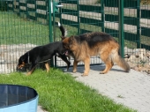 Pension_12