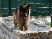 Pension_16