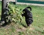 Pension_19