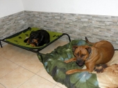 Pension_21