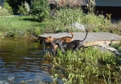 Pension_22