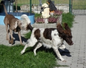 Pension_22