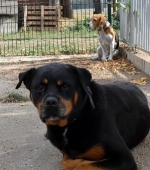 Pension_23