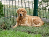 Pension_25