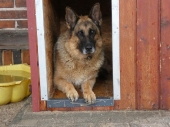 Pension_29