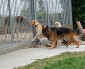 Pension_2