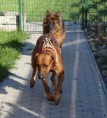 Pension_43