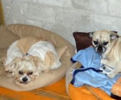 Pension_46