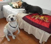Pension_4