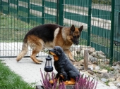 Pension_5