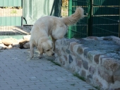 Pension_65
