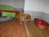 Pension_72