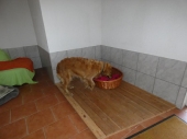 Pension_73