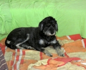 Pension_78