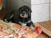 Pension_87