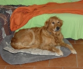 Pension_90